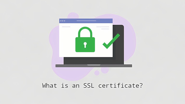 SSL certificate